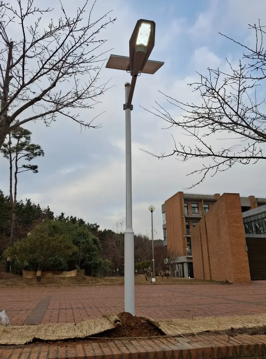 학교·보행로 태양광가로등 설치 완료