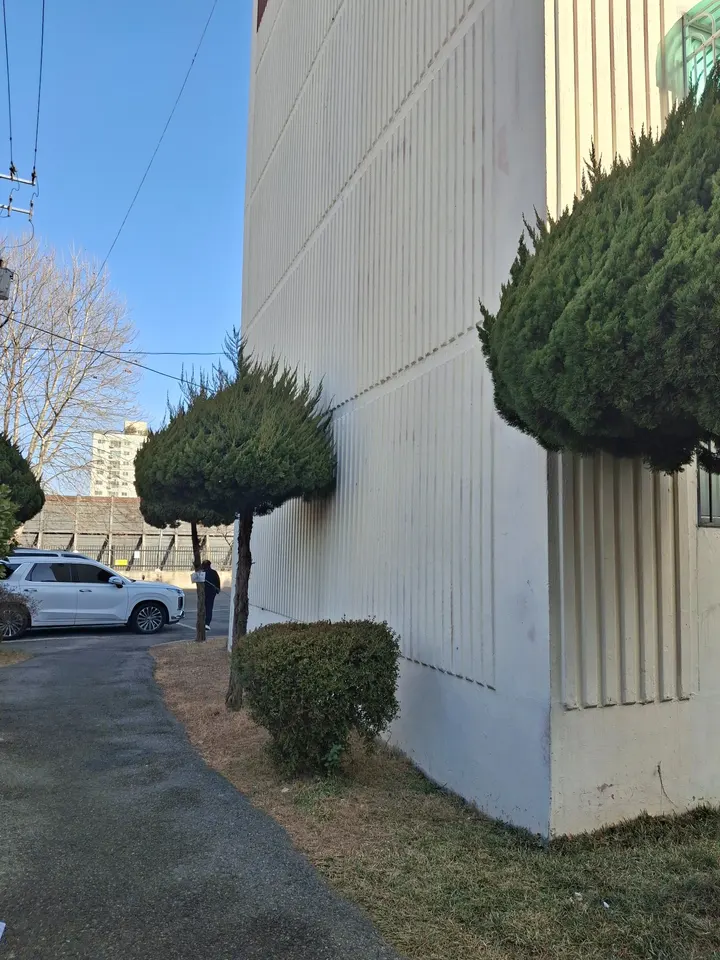 태양광가로등 설치 전 건물 측면 통로와 수목 위치