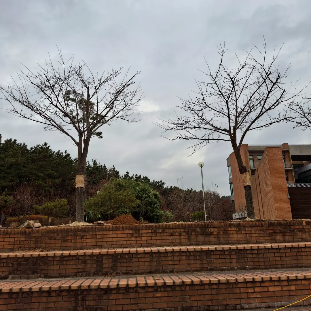 수목과 건물 주변 외부 보행 공간의 태양광가로등 설치 전 환경