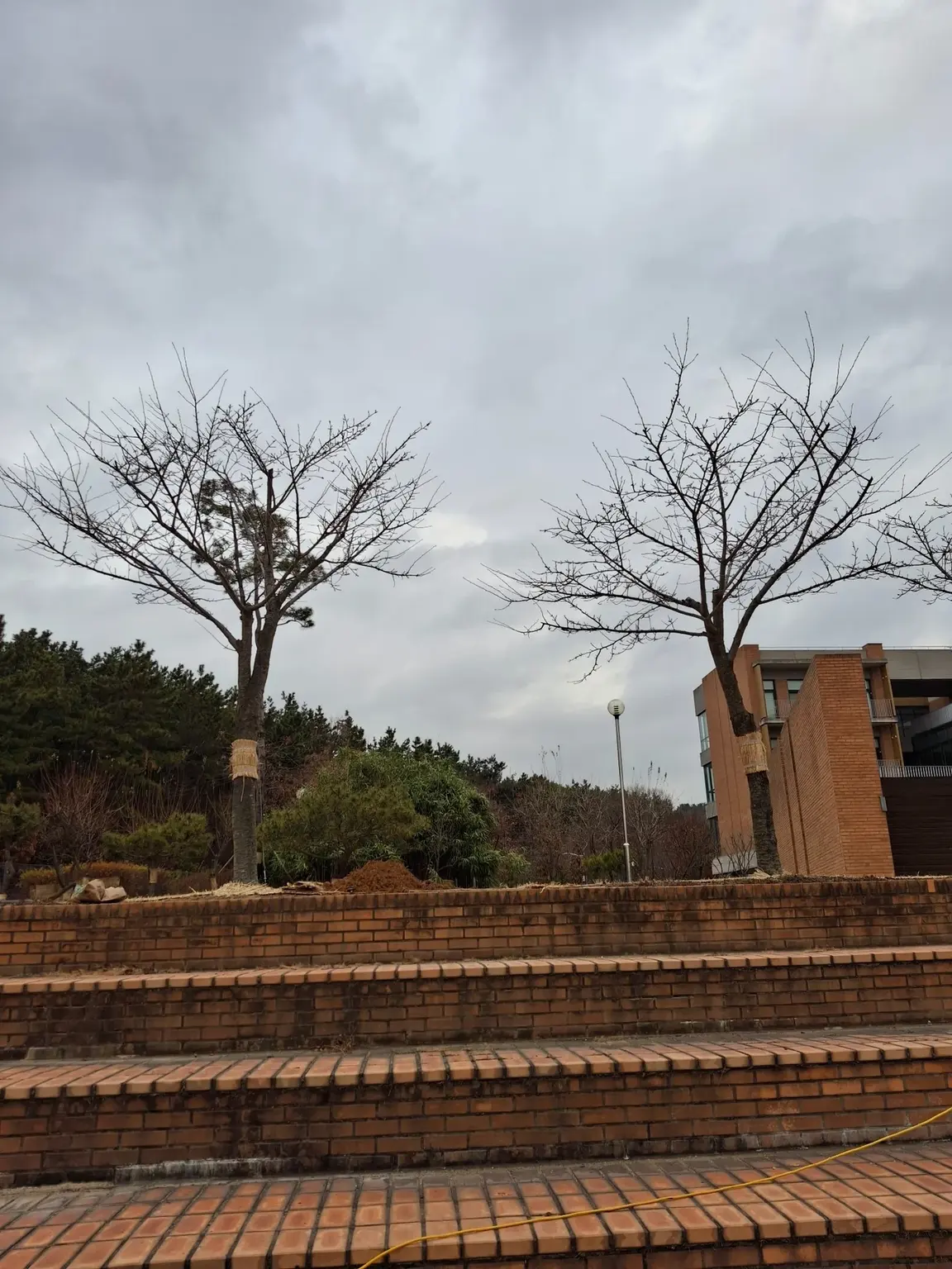 학교 외부 보행로 태양광가로등 설치 전 현장 확인