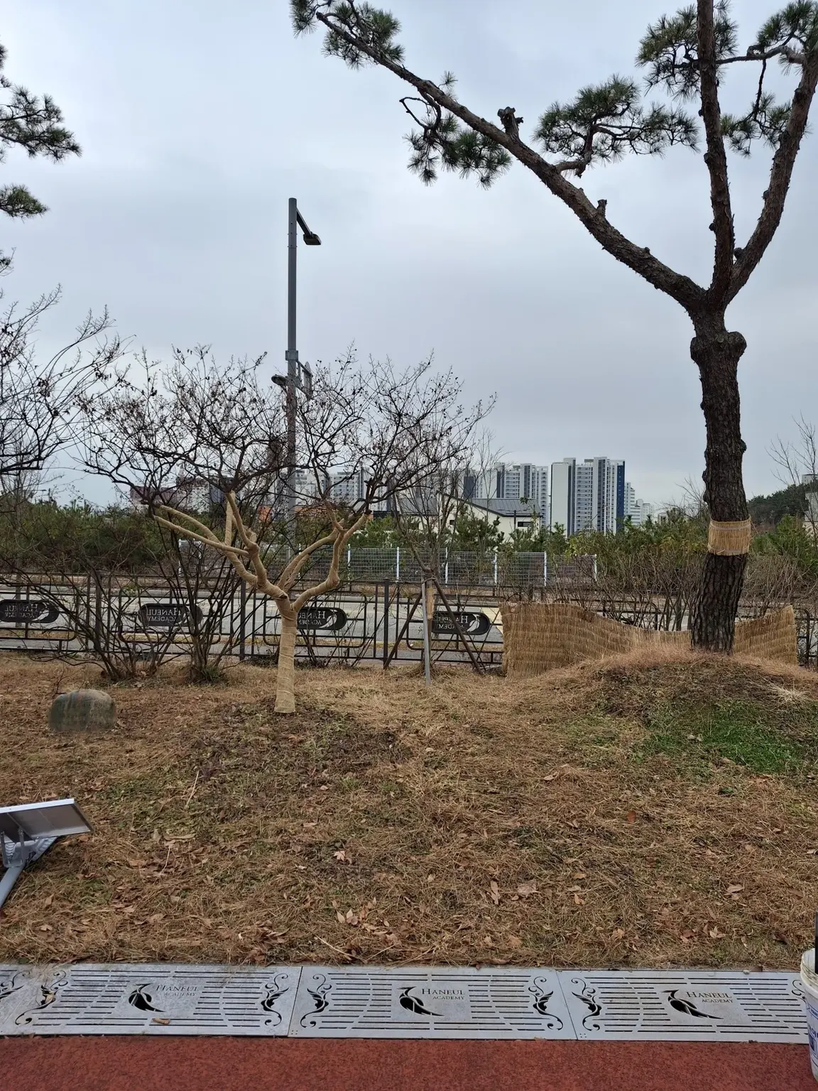 성남 외부 공간 태양광가로등 설치 전 현장 확인