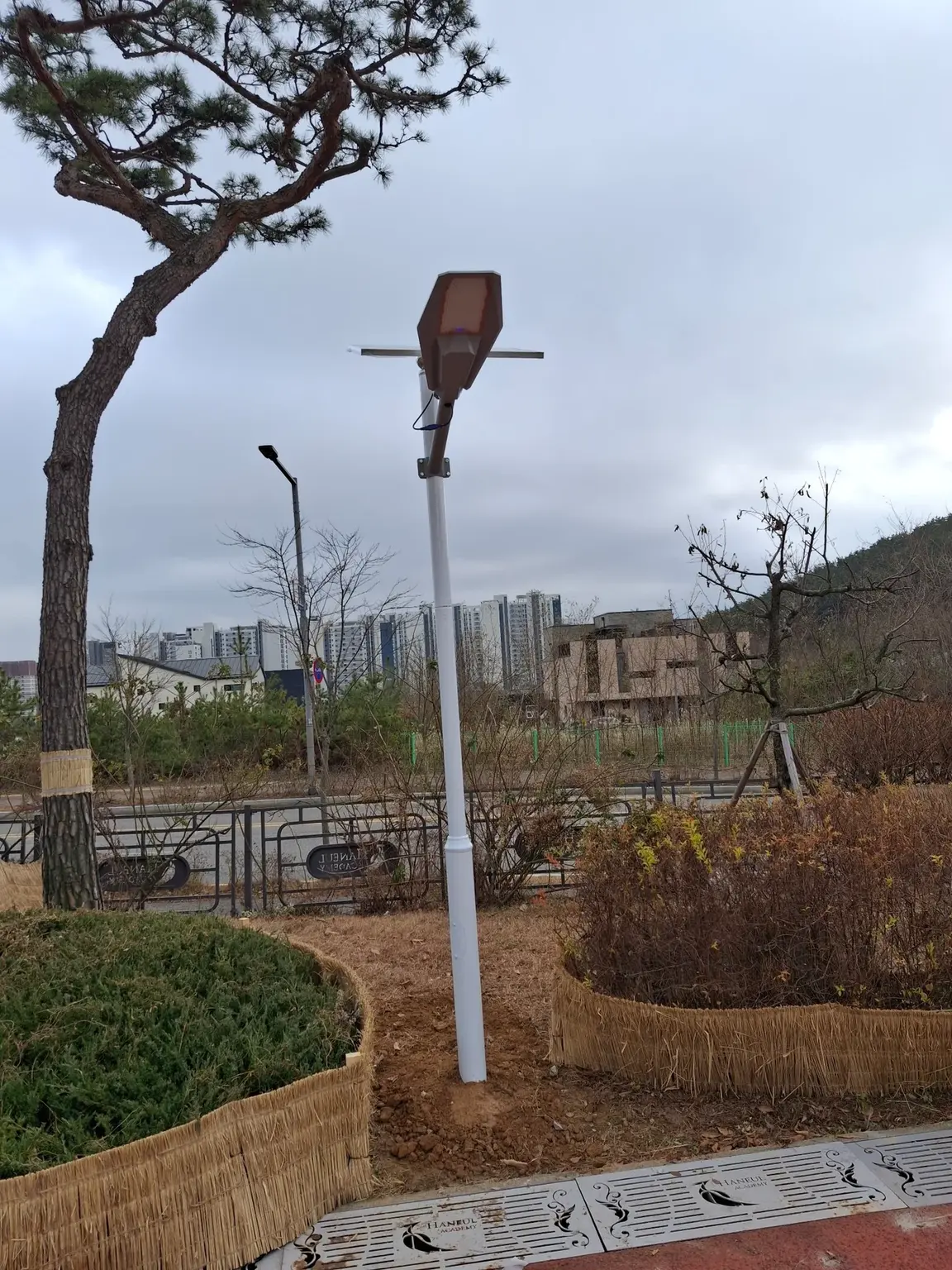 성남 태양광가로등 설치 완료 후 외부 조명 방향 확인